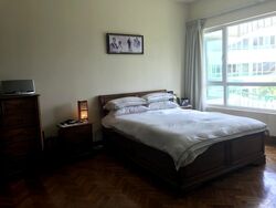 Chancery Park (D11), Condominium #486147151